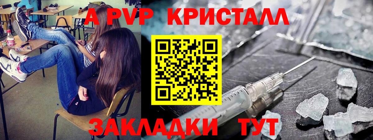 Alfa_PVP СК Тверь
